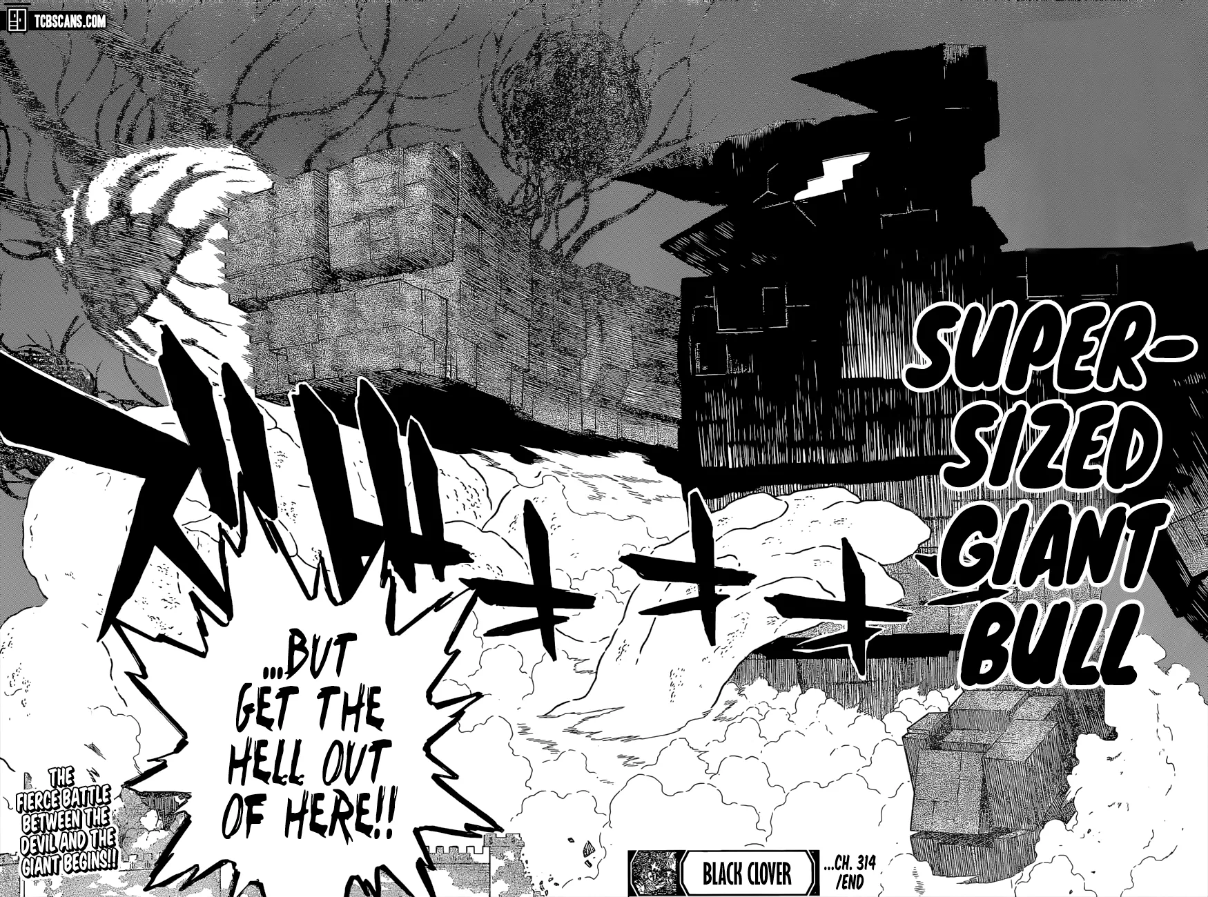 Black Clover web novel anime