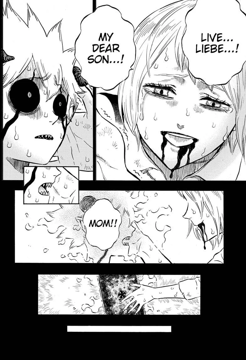 Black Clover Manga Set
