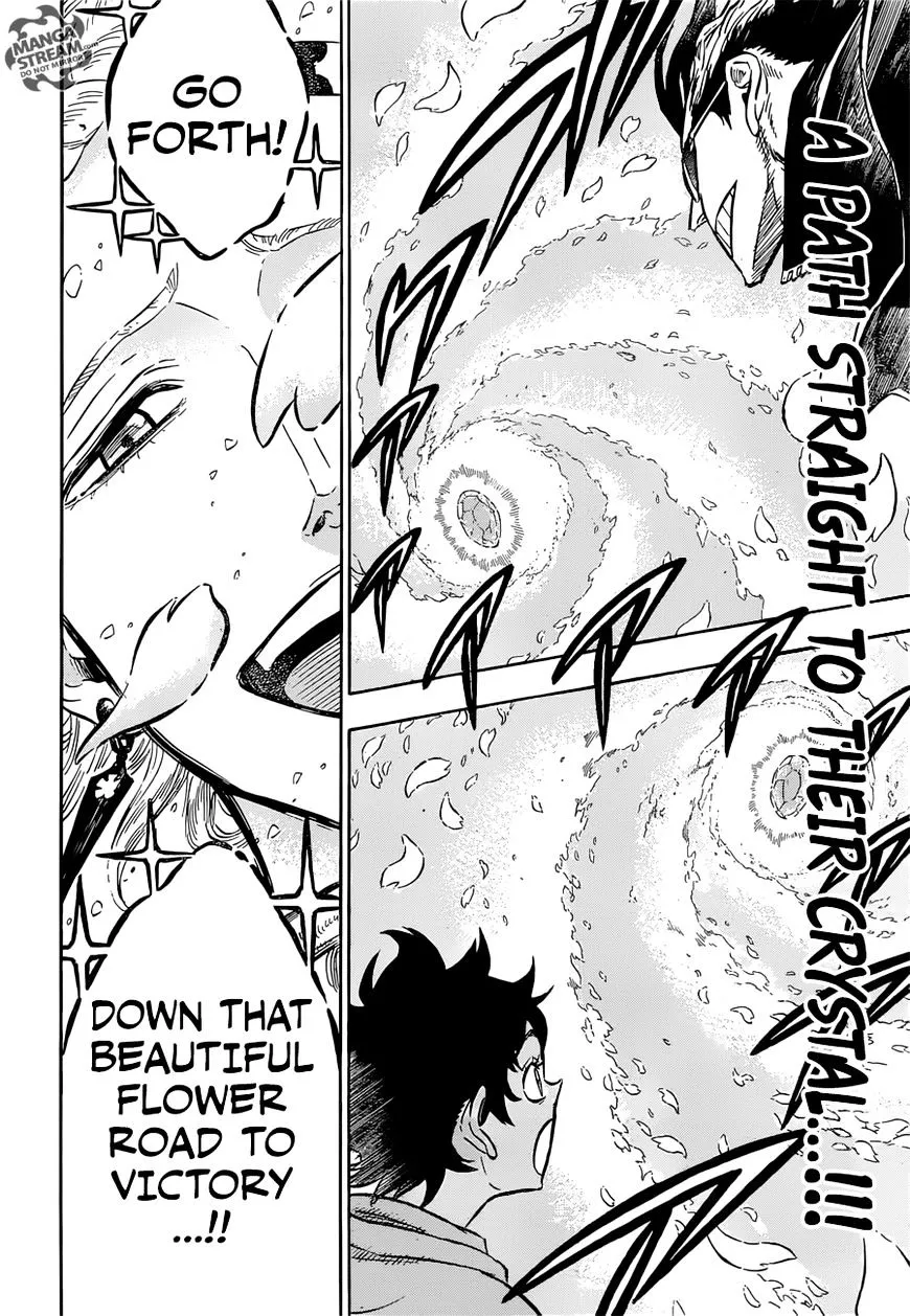 Black Clover Manga Set