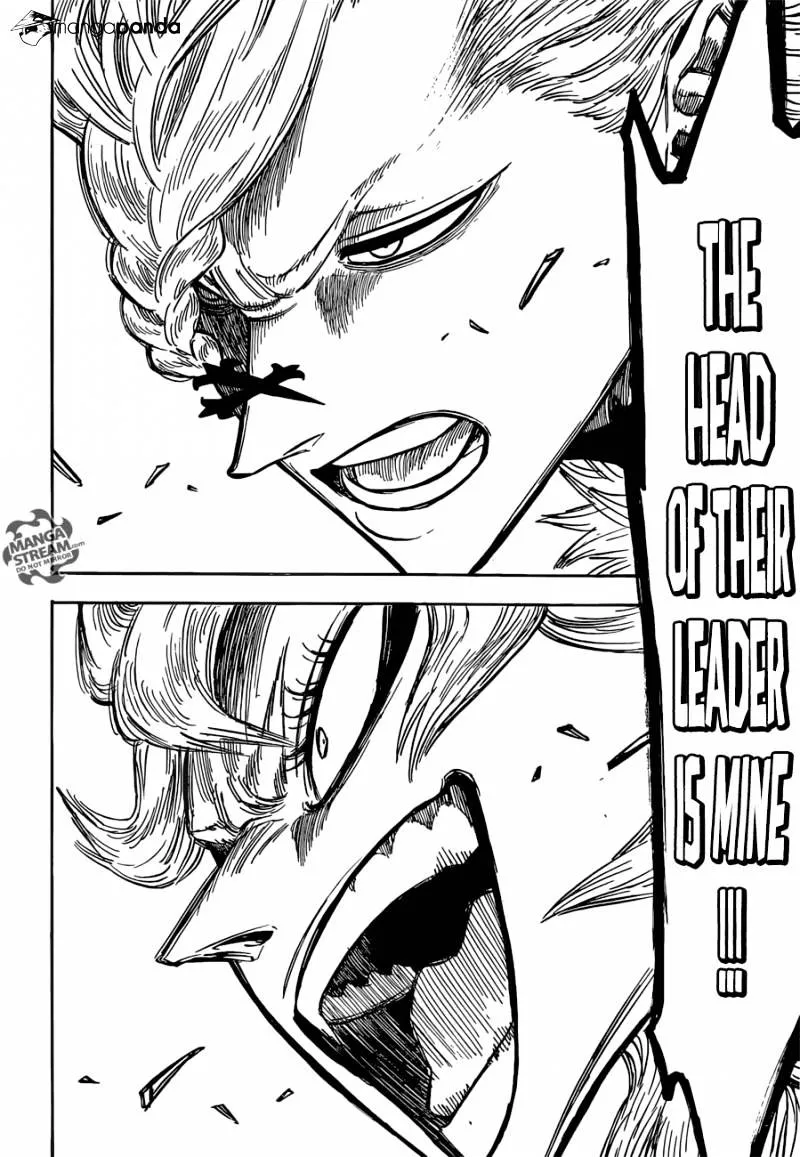 Black Clover Manga Set