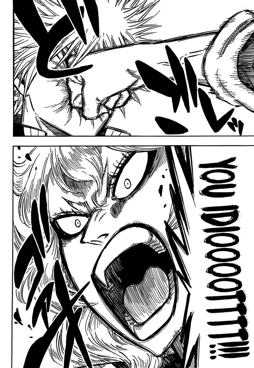 Black Clover Manga Set