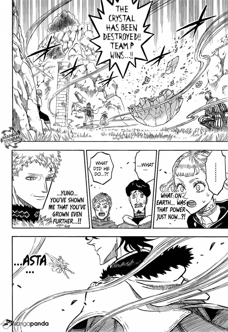 Black Clover Manga Set