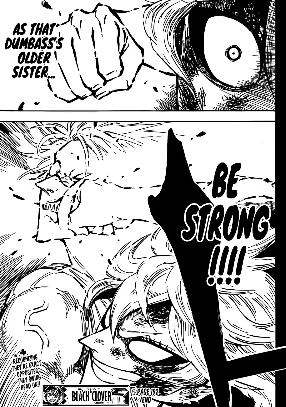Black Clover Manga Set