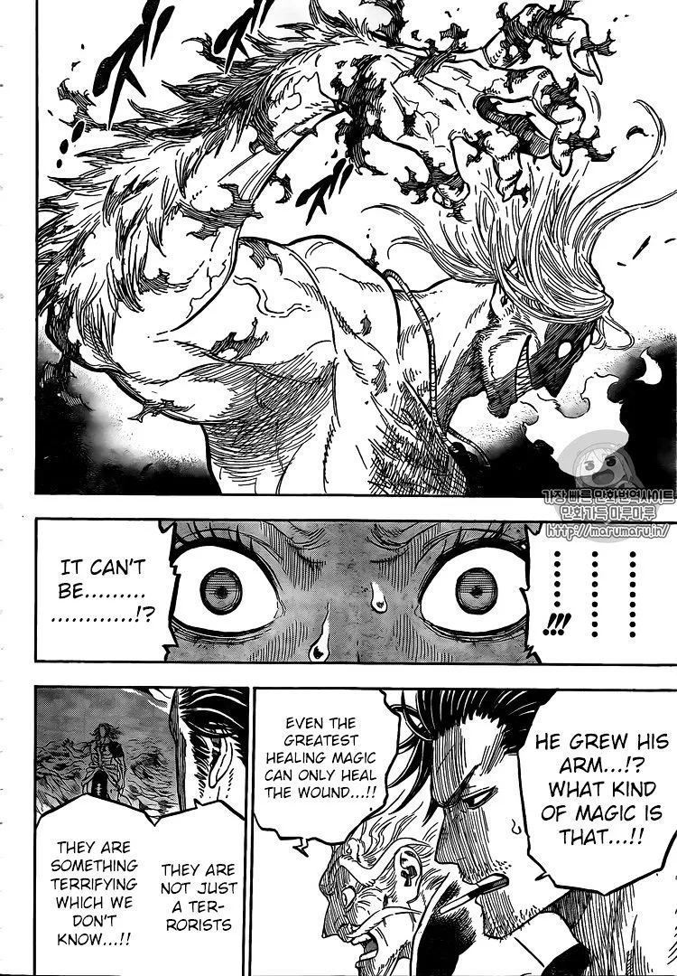 Black Clover Manga Set