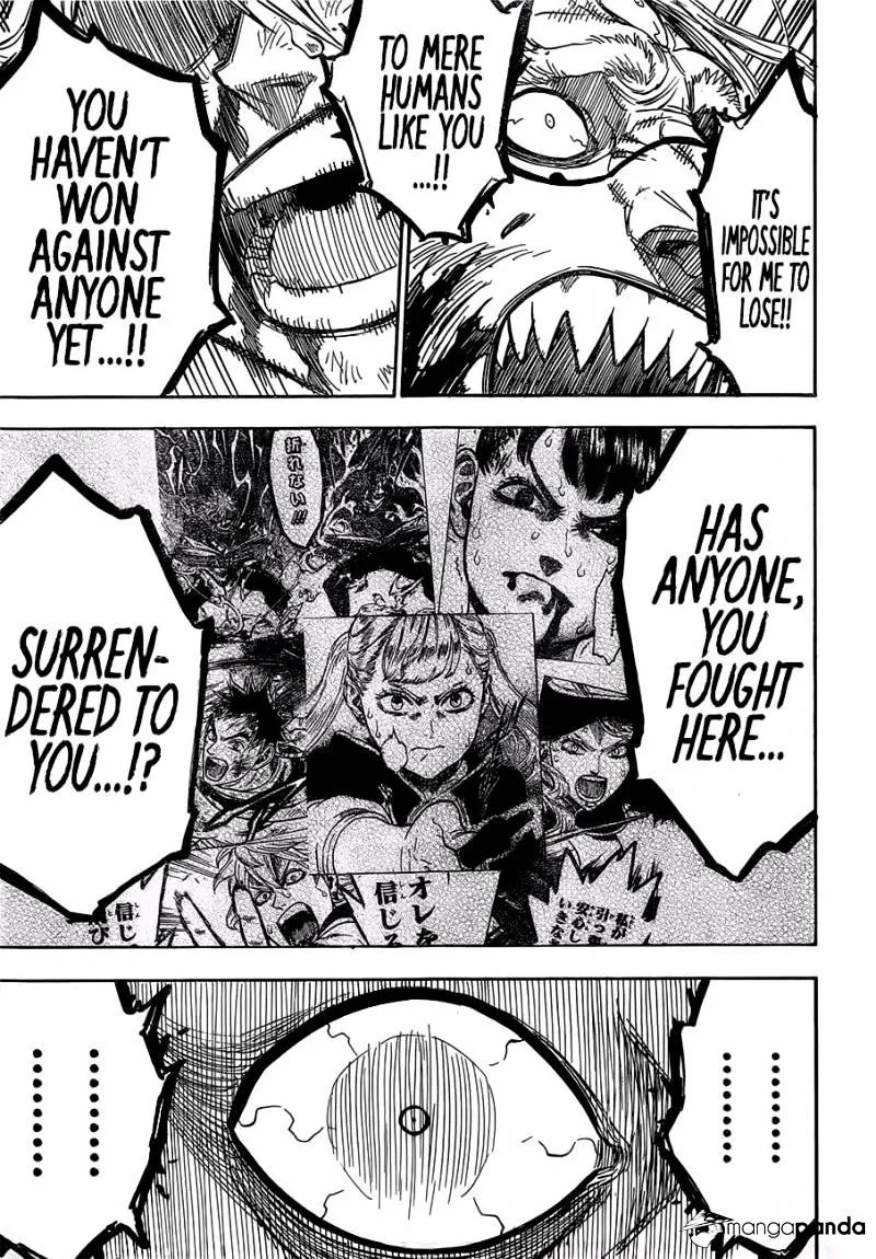 Black Clover Manga Set