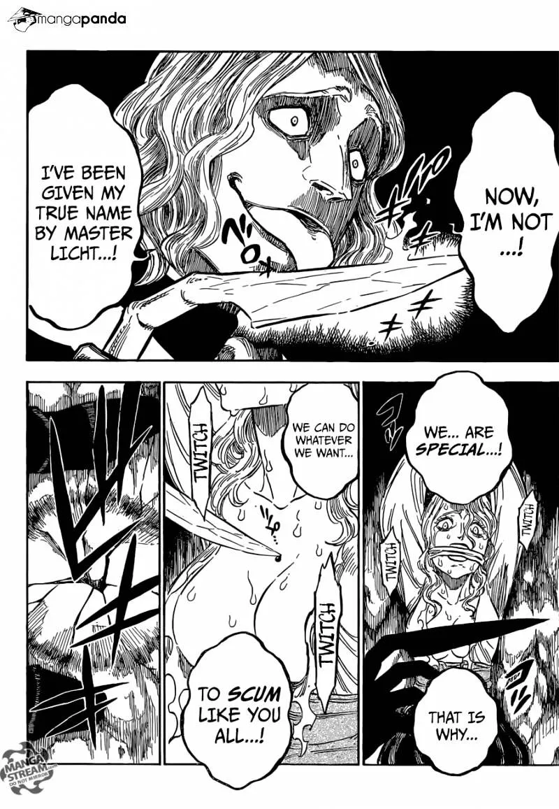 Black Clover web novel
