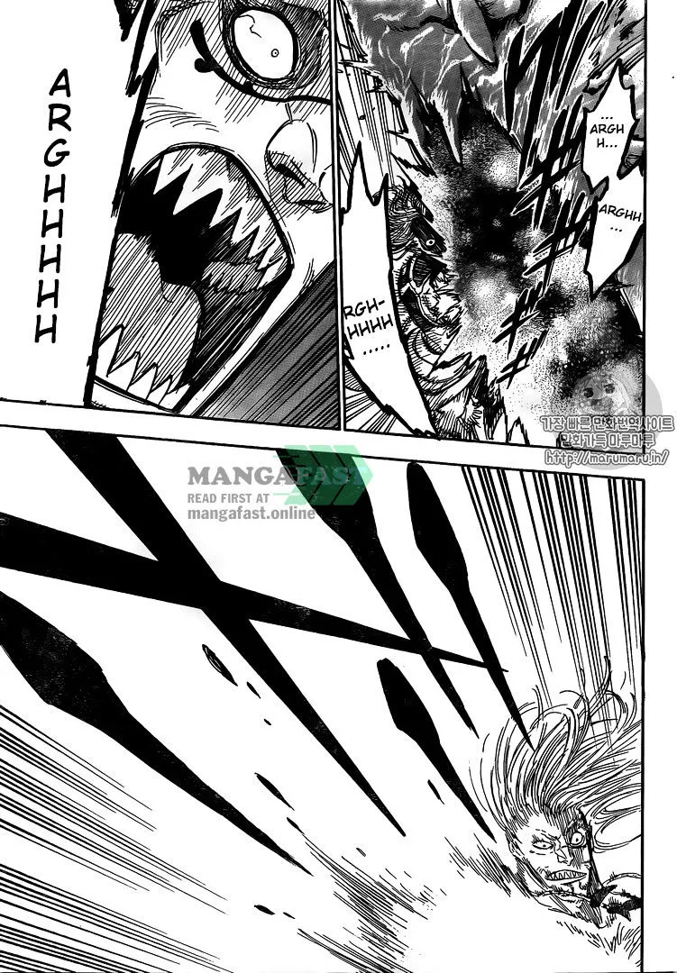 Black Clover web novel
